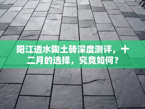 关于我们 第524页