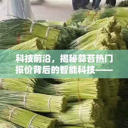 窗明几净 第4页