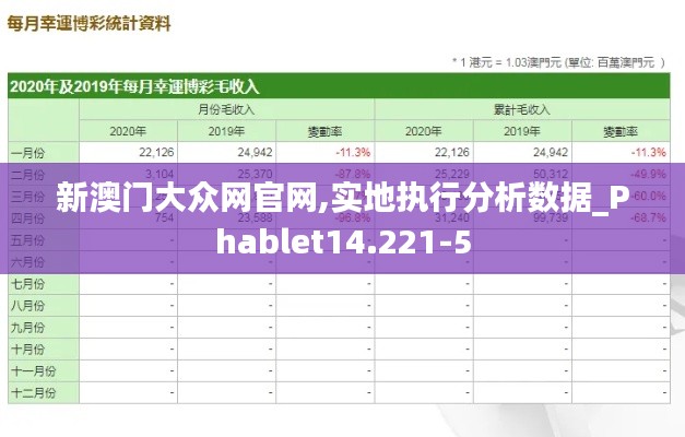 新澳门大众网官网,实地执行分析数据_Phablet14.221-5