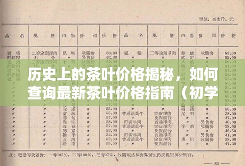鬼张鬼智 第3页