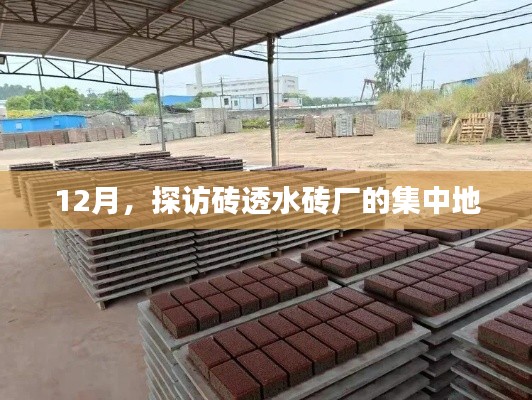 探访砖透水砖厂集中地,揭秘生产背后的故事