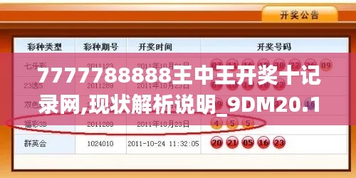 7777788888王中王开奖十记录网,现状解析说明_9DM20.129