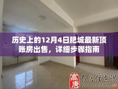 历史上的肥城最新顶账房出售指南,详细步骤与注意事项