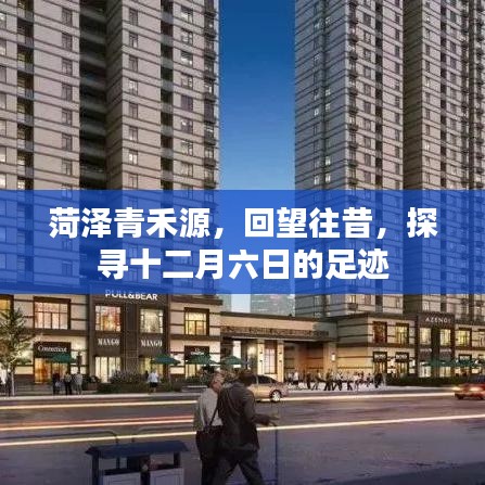 产品中心 第361页