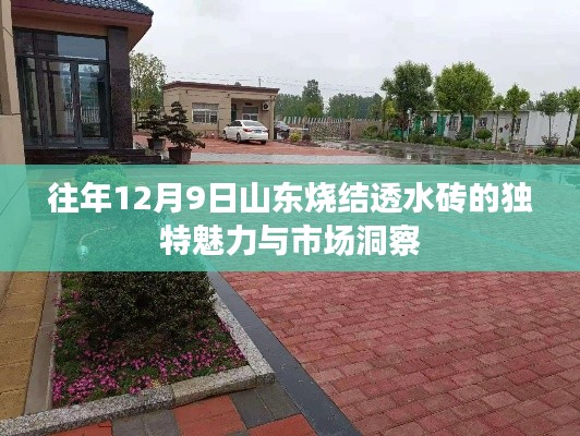 山东烧结透水砖的独特魅力与市场洞察解析