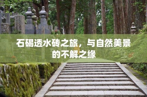 咫尺天涯 第3页