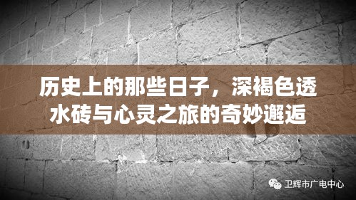 深褐色透水砖下的心灵之旅与历史邂逅