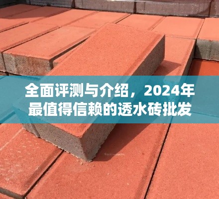 鸟穷则啄 第3页