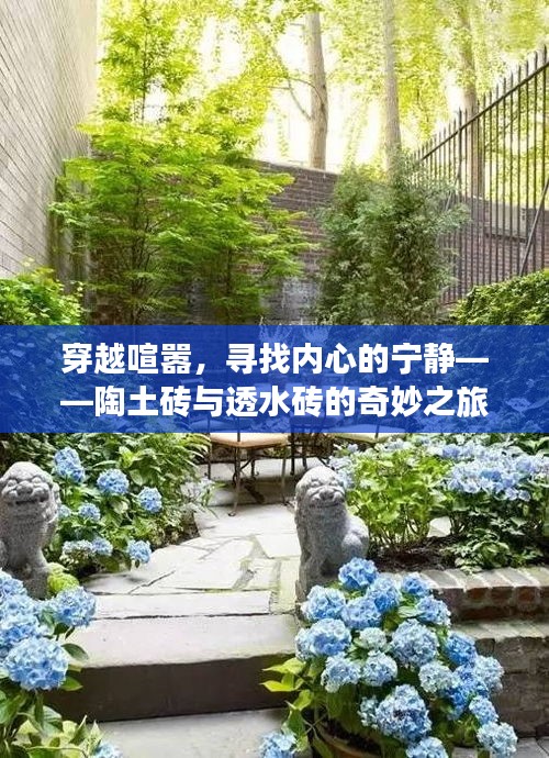 产品中心 第317页
