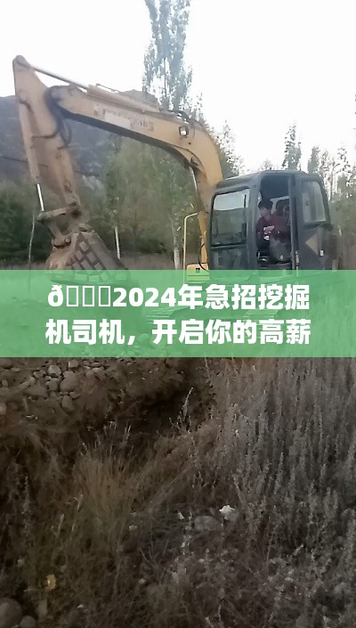 采椽不斫 第3页