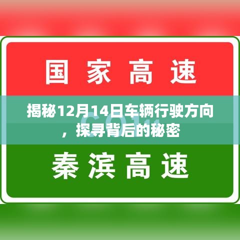 百鸟争鸣 第3页