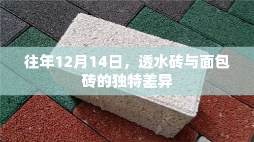 施工现场 第305页