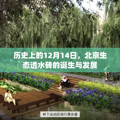 施工现场 第302页