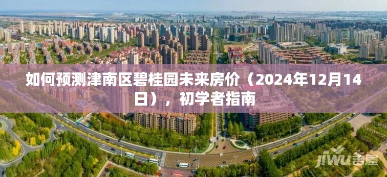 初学者指南,预测津南区碧桂园未来房价走向(至2024年12月1 结)