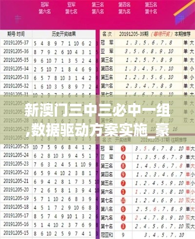 新澳门三中三必中一组,数据驱动方案实施_豪华款9.310