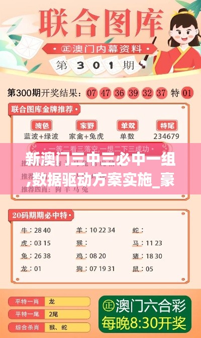 新澳门三中三必中一组,数据驱动方案实施_豪华款9.310