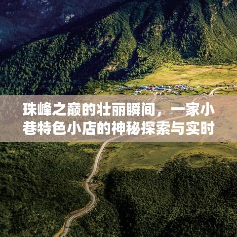 粗制滥造 第2页