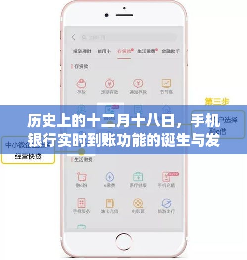 纲举目张 第2页