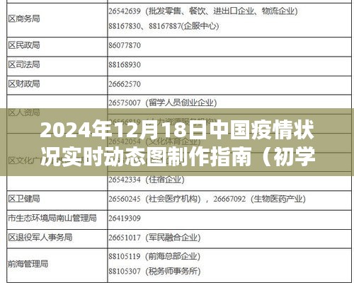 2024年12月18日中国疫情实时动态图制作指南，初学者与进阶用户必备