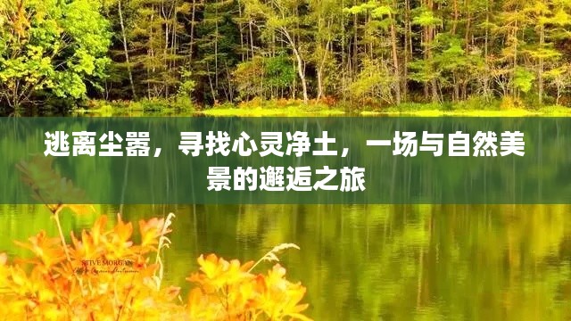 产品中心 第220页