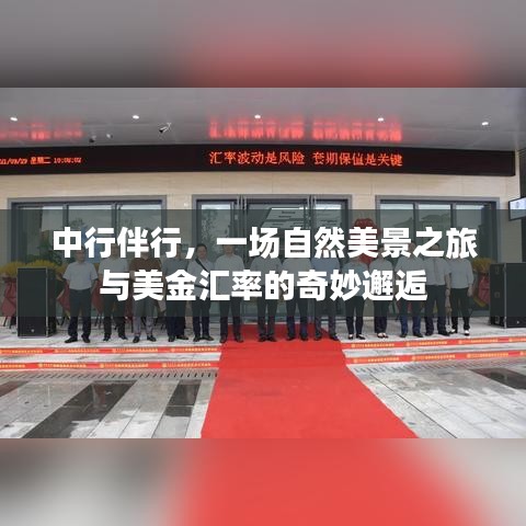 施工现场 第198页