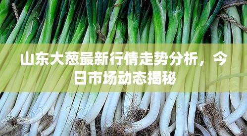 还醇返朴 第2页