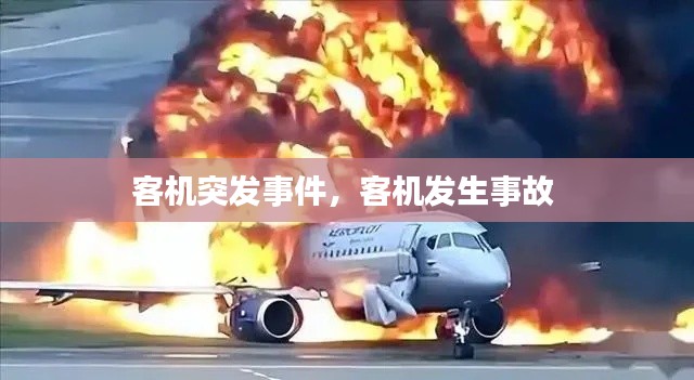 产品中心 第162页