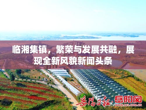 善始善终 第2页