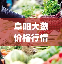 阜阳大葱价格行情更新,今日市场最新消息速递