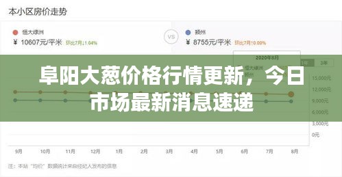 阜阳大葱价格行情更新,今日市场最新消息速递