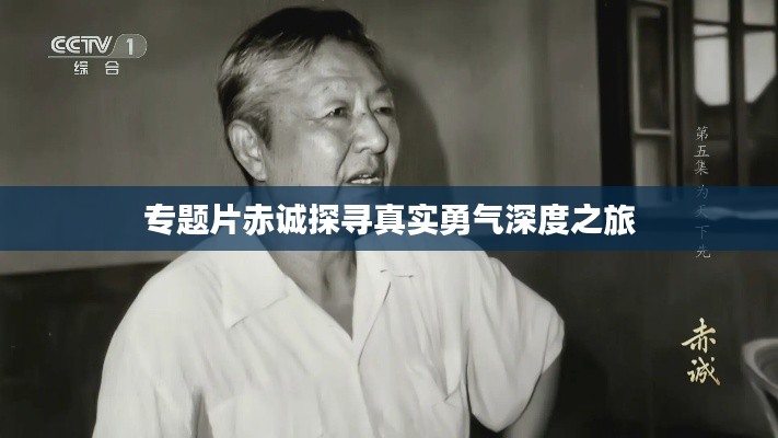 新澳中心 第100页