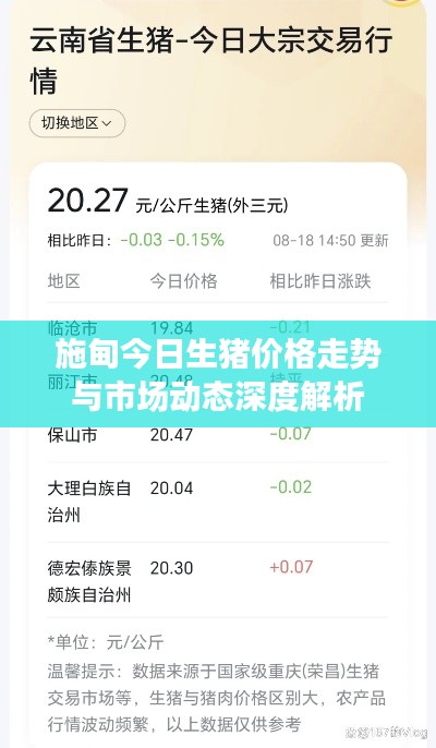 新澳中心 第60页
