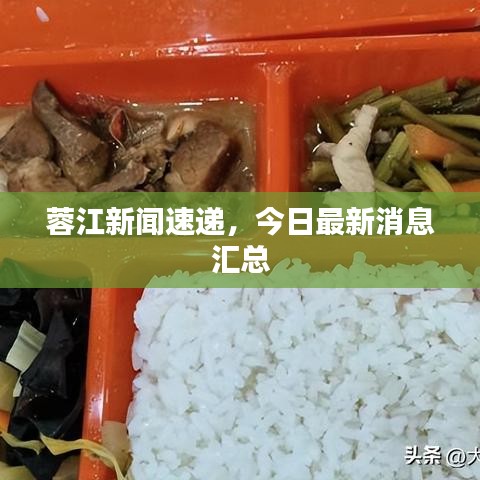 蓉江新闻速递，今日最新消息汇总
