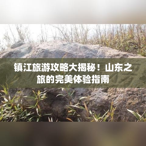 新澳中心 第44页