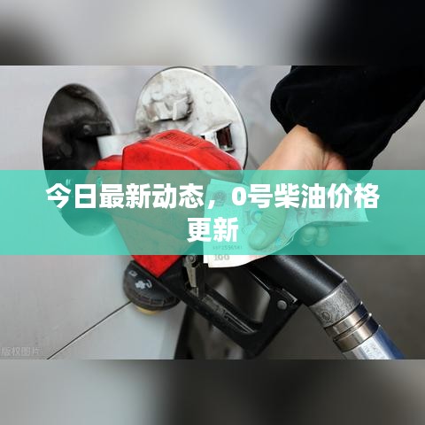 新澳中心 第37页