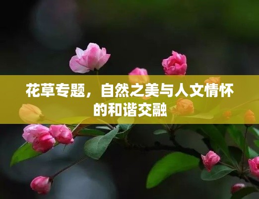 关于我们 第15页