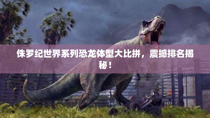 2025年5月4日 第3页