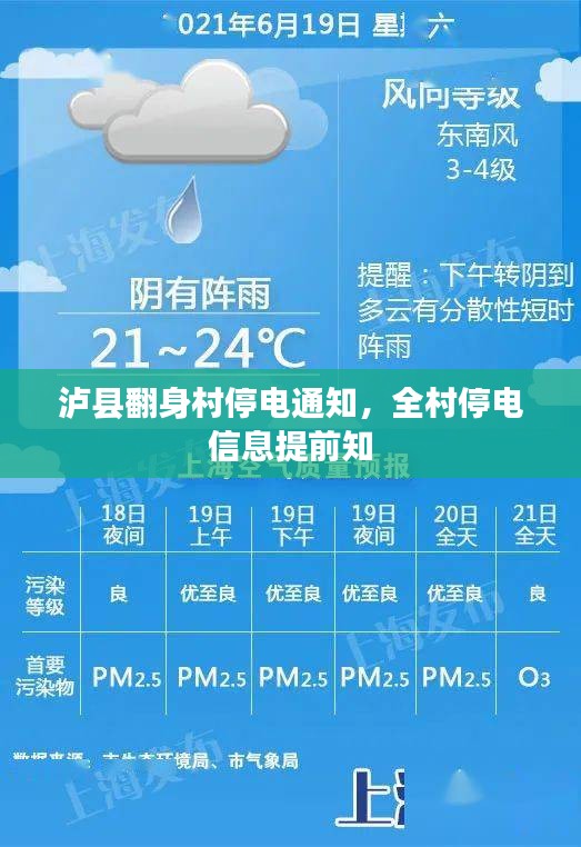 如鸟兽散