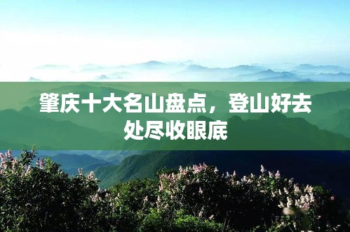 正襟危坐