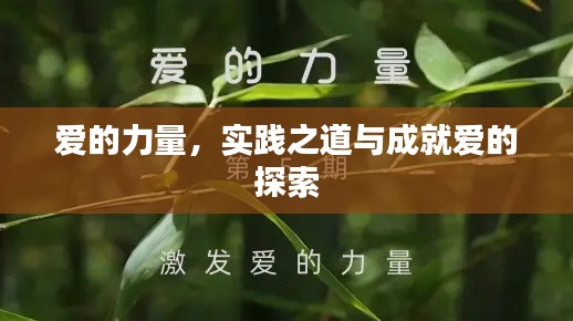 爱的力量，实践之道与成就爱的探索