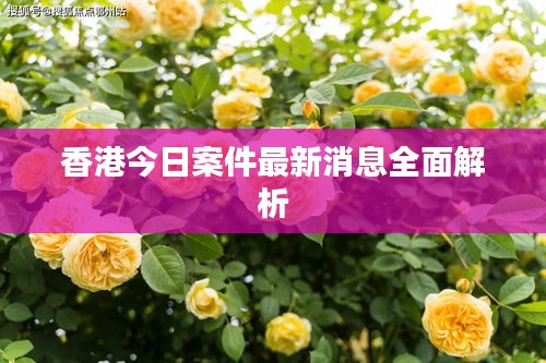 香港今日案件最新消息全面解析