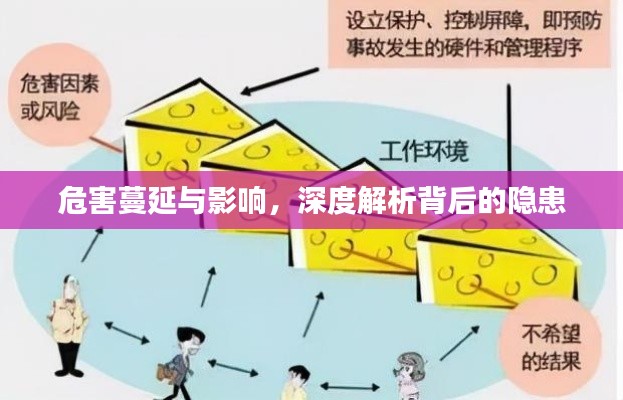 危害蔓延与影响，深度解析背后的隐患