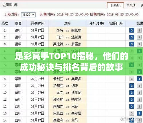 足彩高手TOP10揭秘，他们的成功秘诀与排名背后的故事