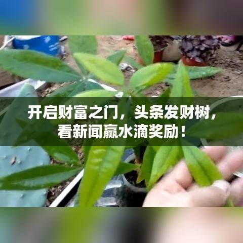 2025年6月15日