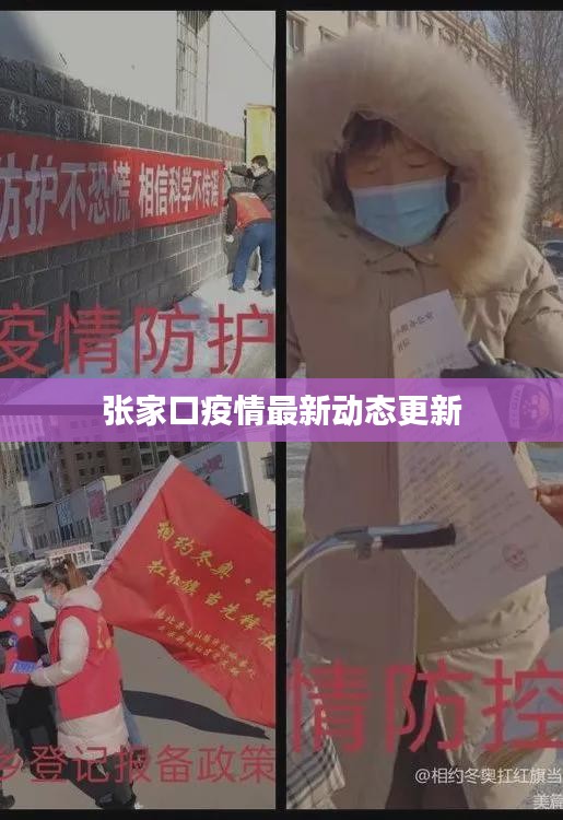 张家口疫情最新动态更新