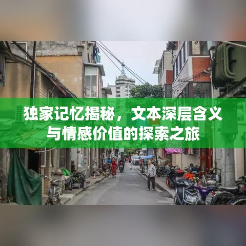 独家记忆揭秘，文本深层含义与情感价值的探索之旅