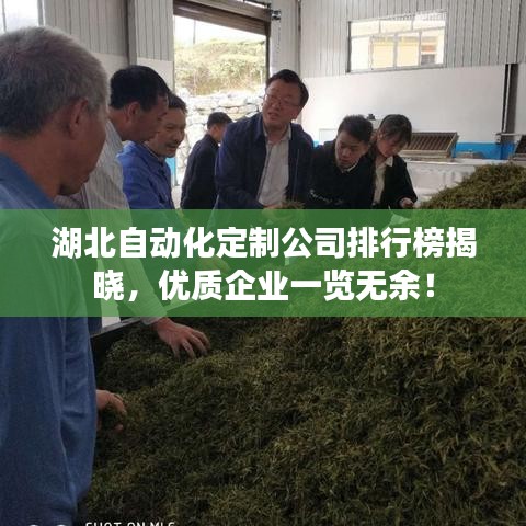 湖北自动化定制公司排行榜揭晓，优质企业一览无余！