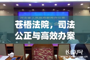 苍梧法院，司法公正与高效办案的典范新闻头条